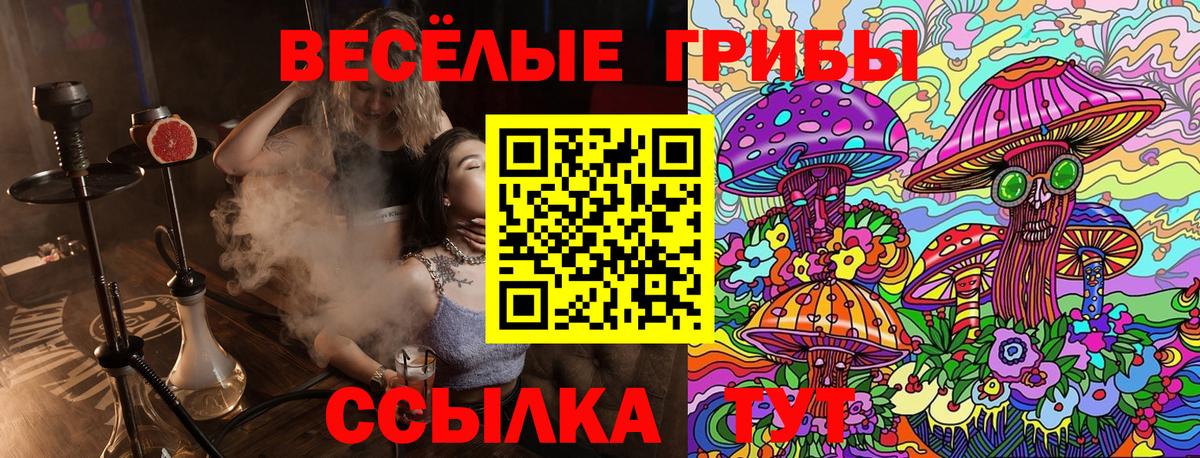 Тында  Галлюциногенные грибы GOLDEN TEACHER  Вход с VPN 